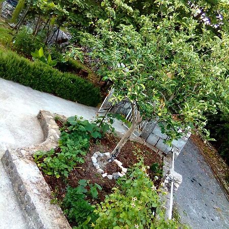 Country House "Lipa" Komarno فيربازار المظهر الخارجي الصورة