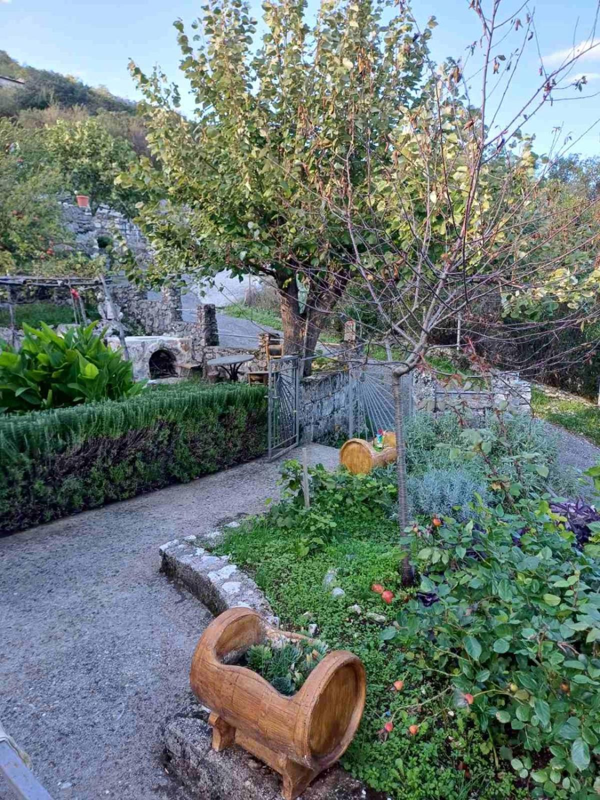 Country House "Lipa" Komarno فيربازار المظهر الخارجي الصورة