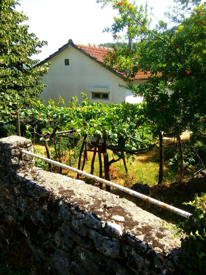 Country House "Lipa" Komarno فيربازار المظهر الخارجي الصورة