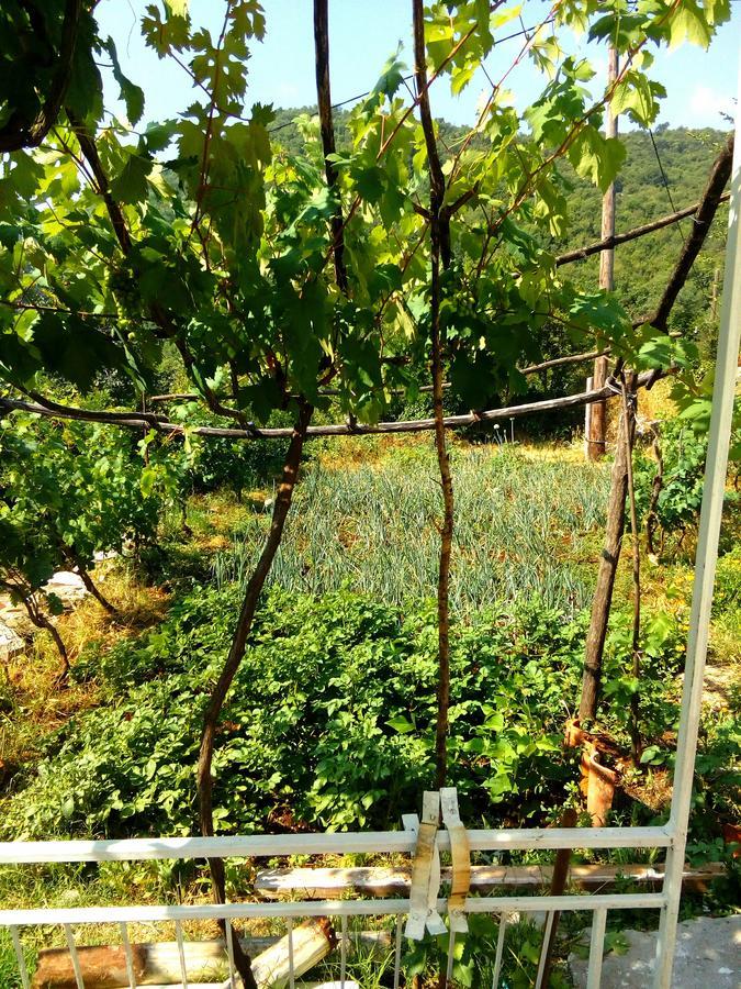 Country House "Lipa" Komarno فيربازار المظهر الخارجي الصورة