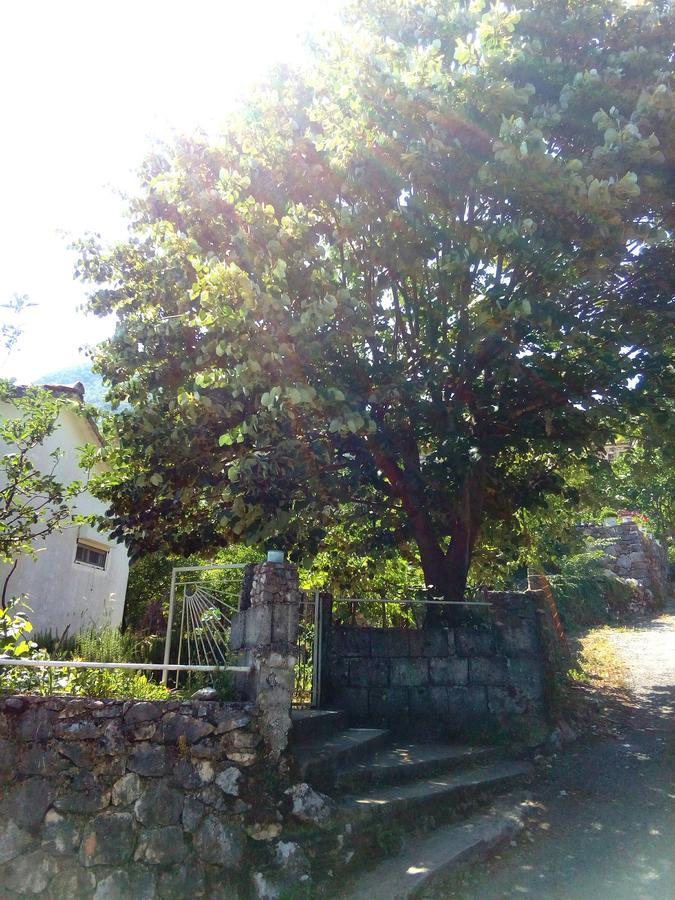 Country House "Lipa" Komarno فيربازار المظهر الخارجي الصورة