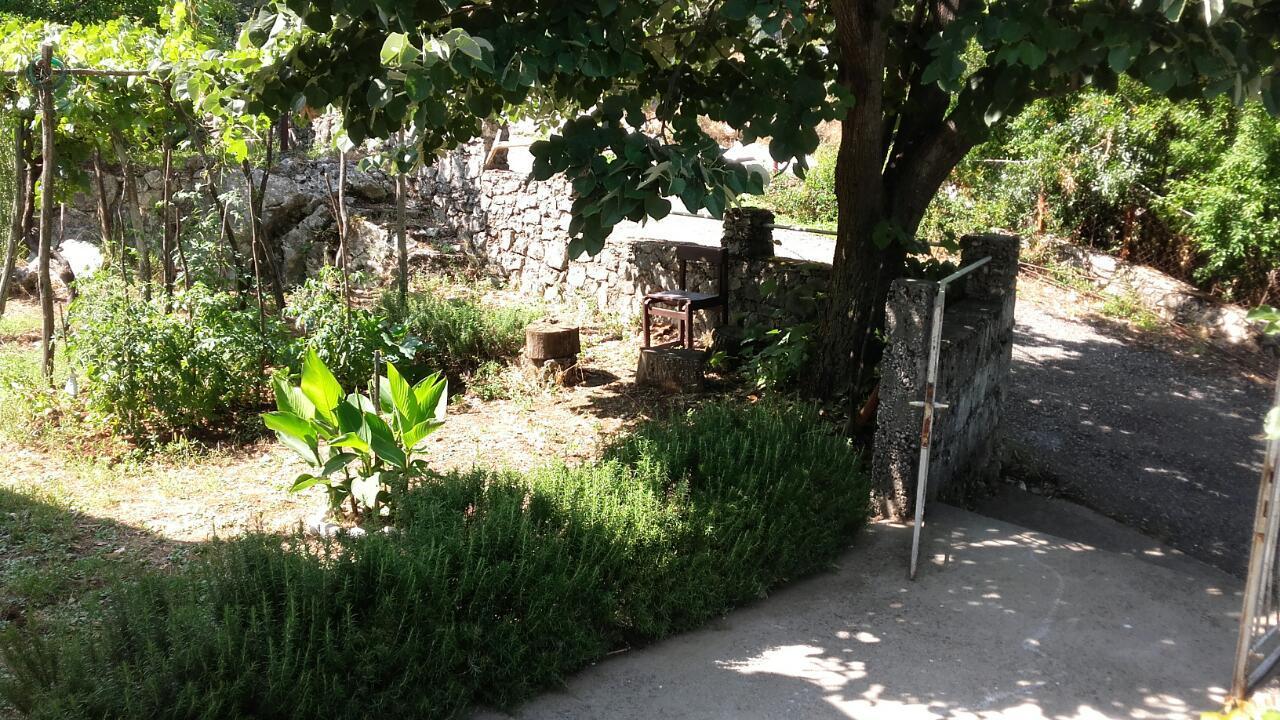 Country House "Lipa" Komarno فيربازار المظهر الخارجي الصورة