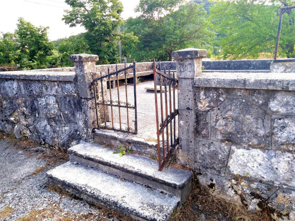 Country House "Lipa" Komarno فيربازار المظهر الخارجي الصورة