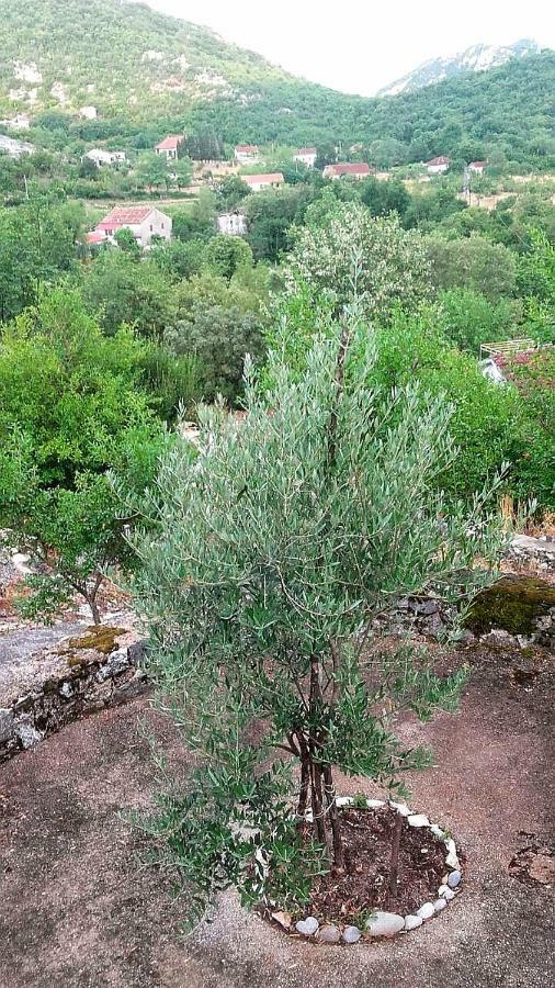 Country House "Lipa" Komarno فيربازار المظهر الخارجي الصورة