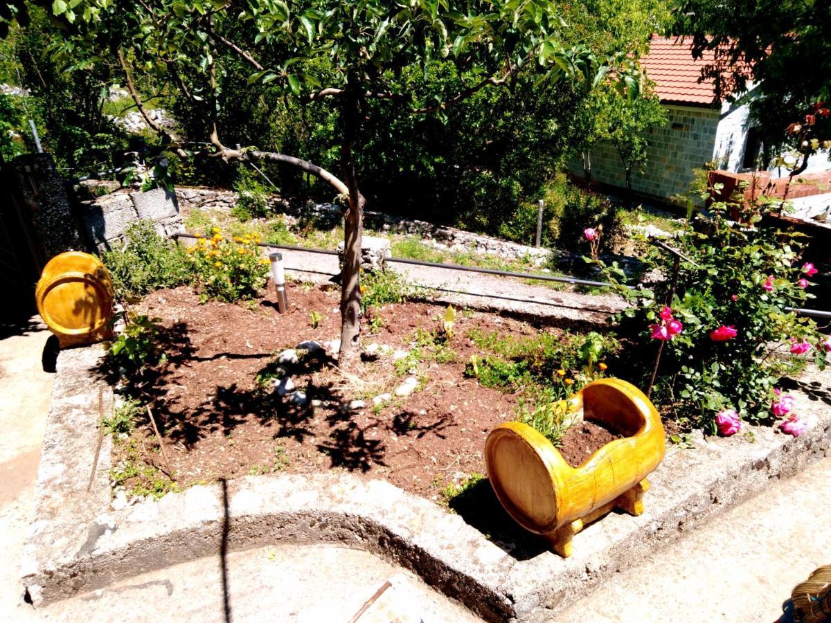 Country House "Lipa" Komarno فيربازار المظهر الخارجي الصورة